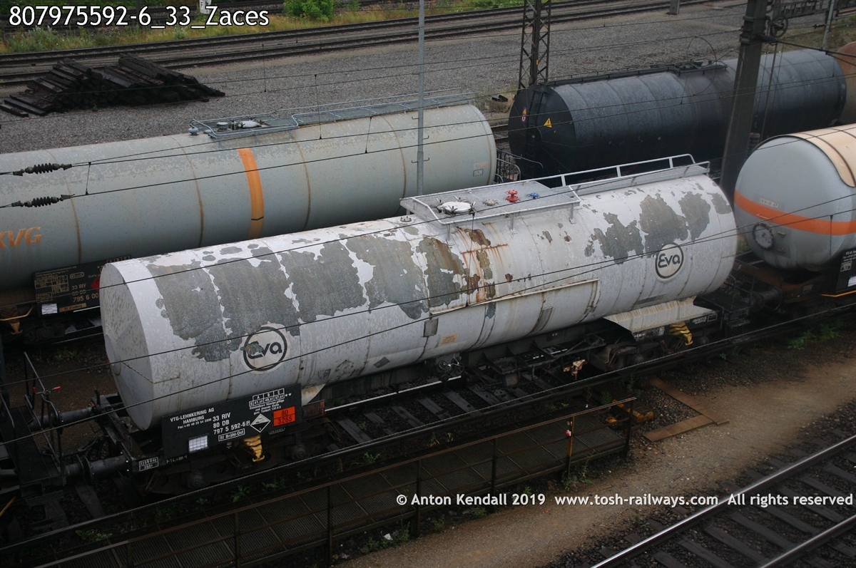 807975592-6_33_Zaces.jpg